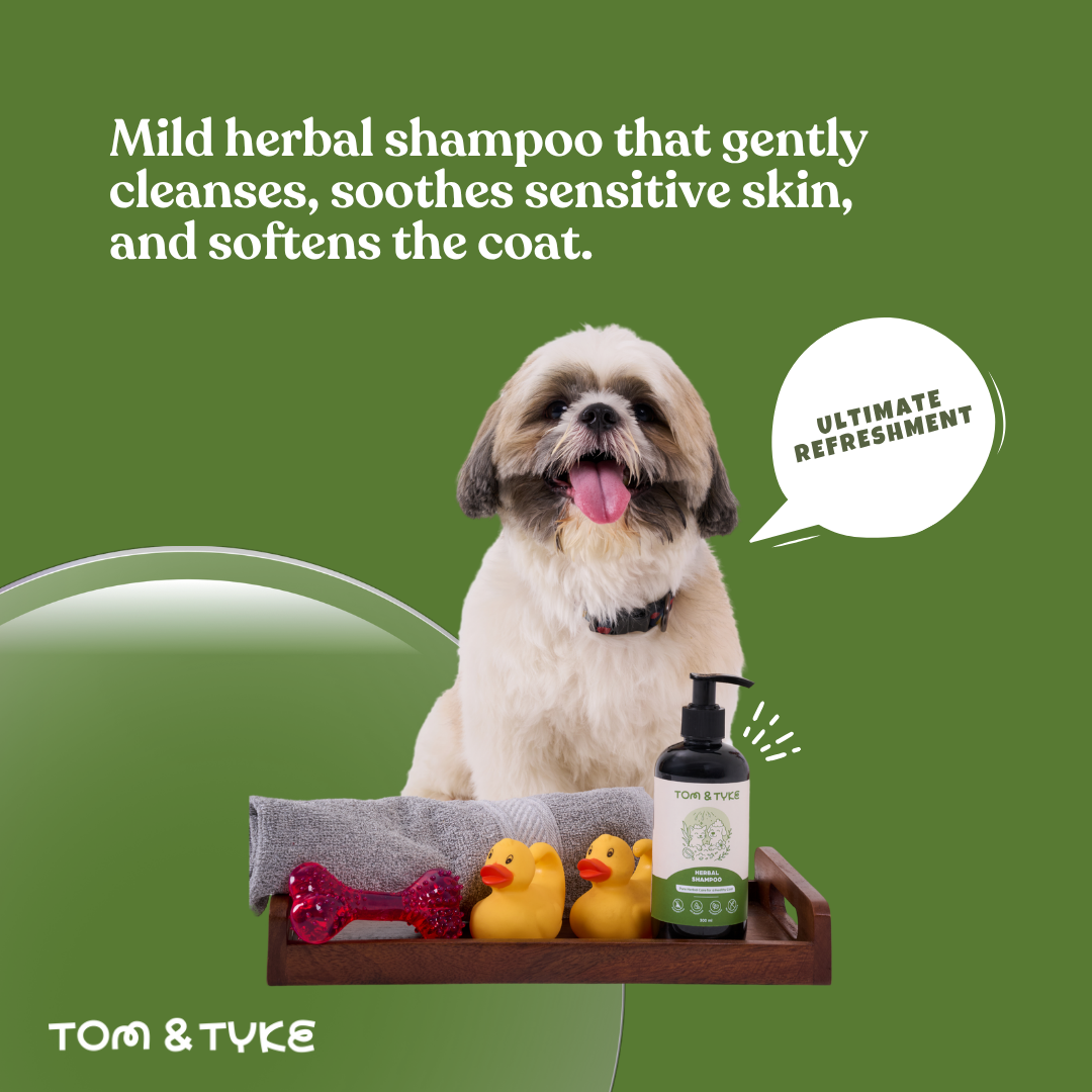 Herbal Shampoo - 300 ML