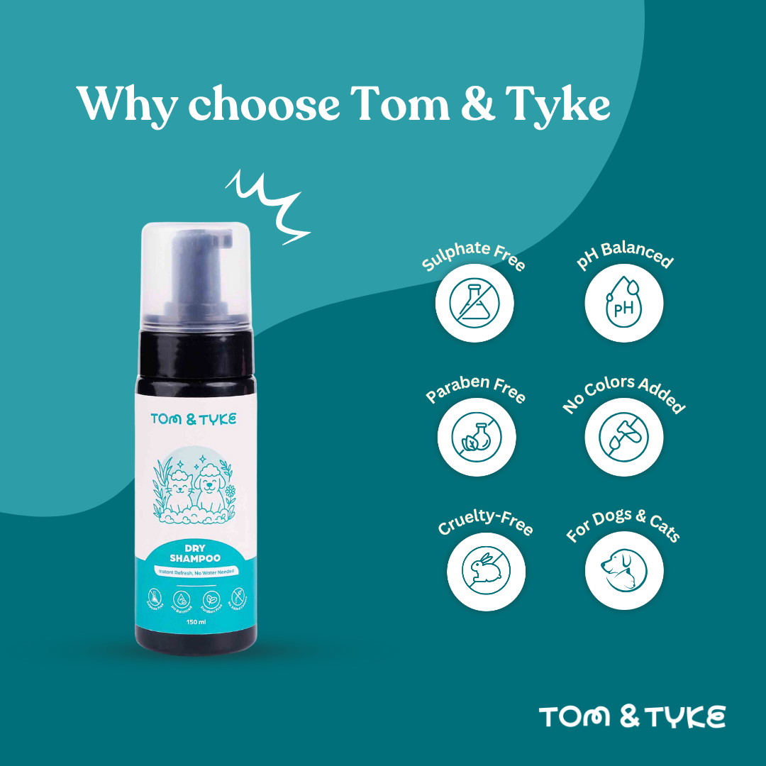 Dry Shampoo - 150 ML