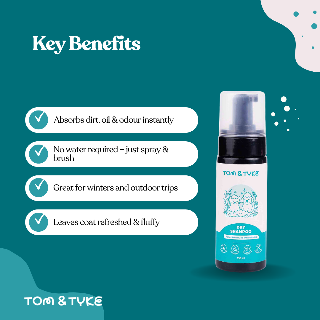 Dry Shampoo - 150 ML