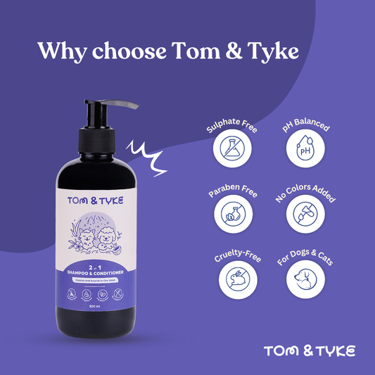 2 in 1 Shampoo and Conditioner - 300 ML