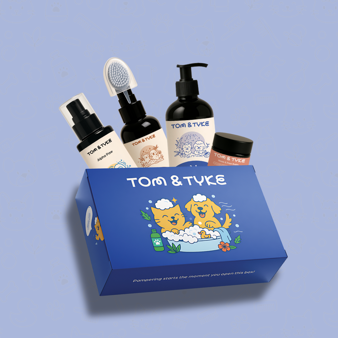 Gentleman Gift Box Bundle