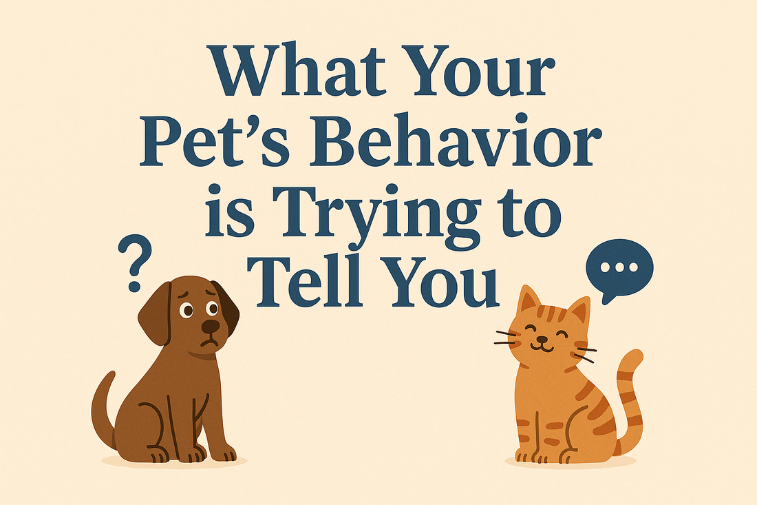 What Your Pet’s Behavior is Trying to Tell You