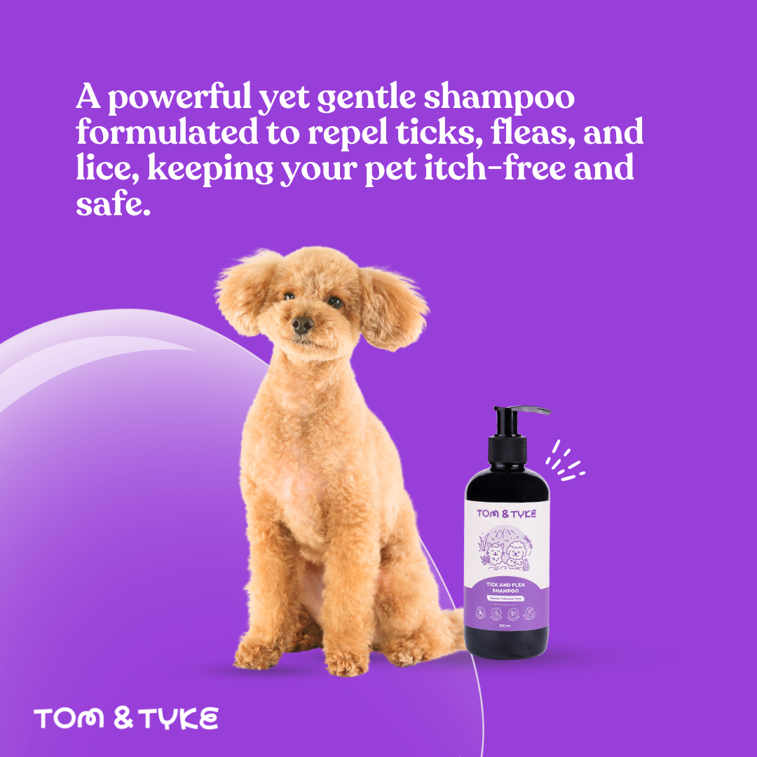 Tick and Flea Shampoo - 300 ML