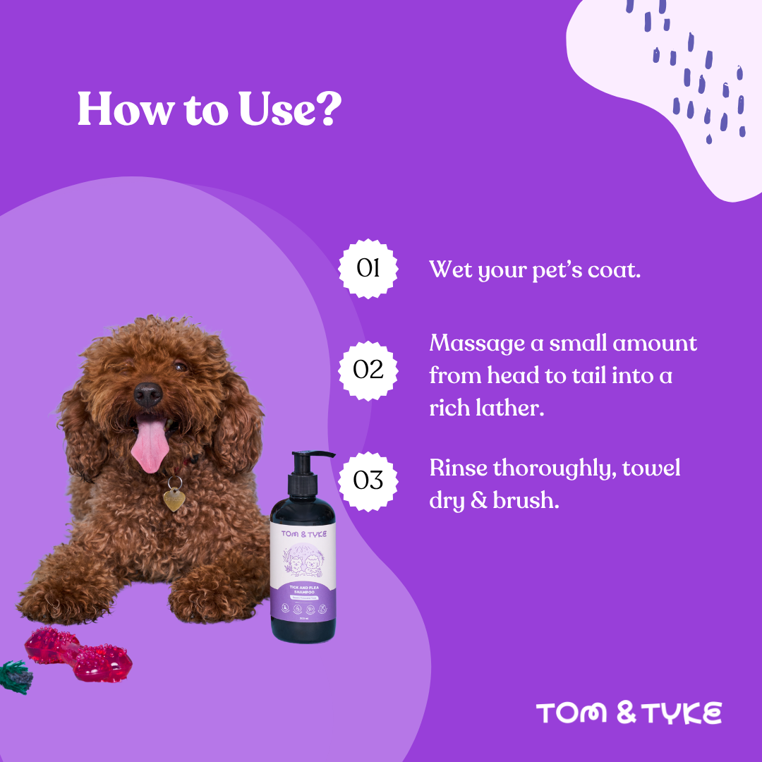 Tick and Flea Shampoo - 300 ML