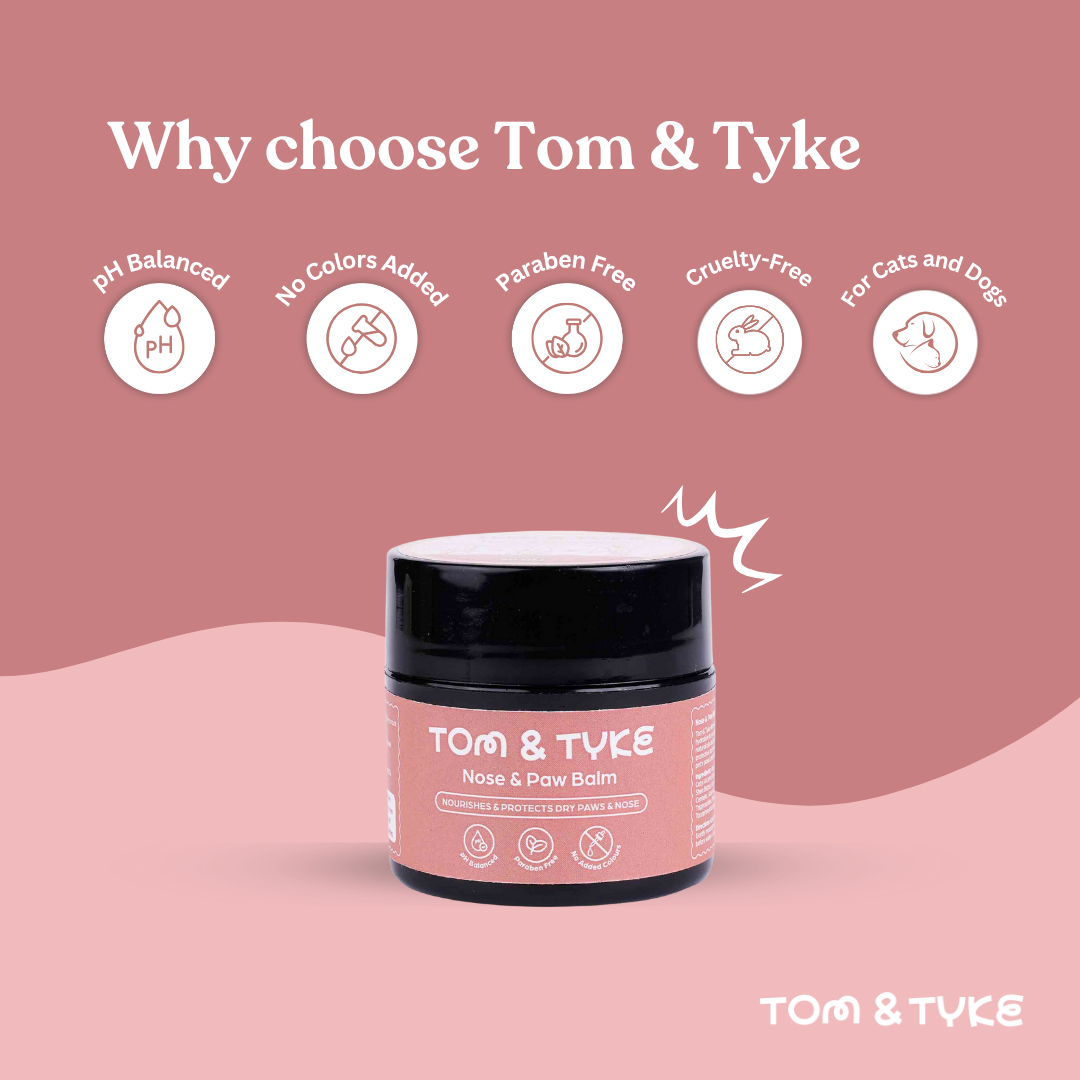 Nose and Paw Balm - 50 GM