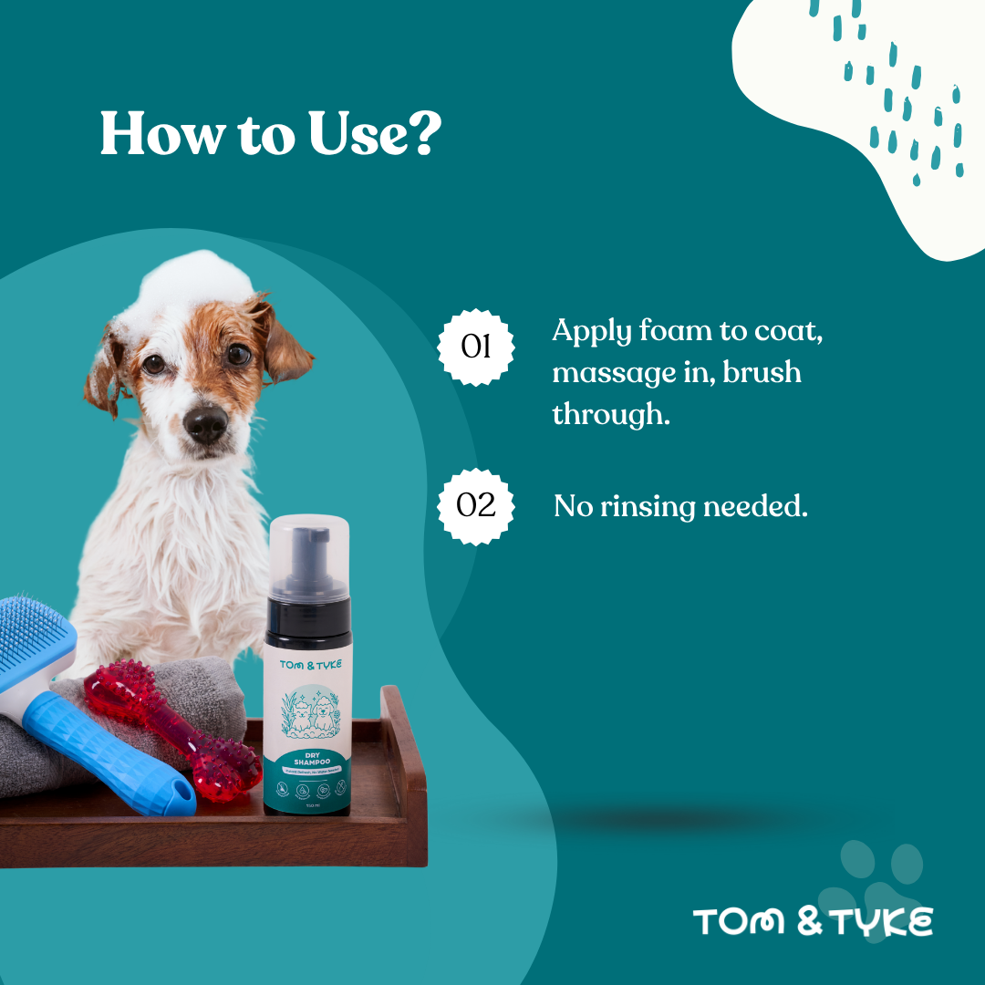 Dry Shampoo - 150 ML