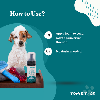 Dry Shampoo - 150 ML