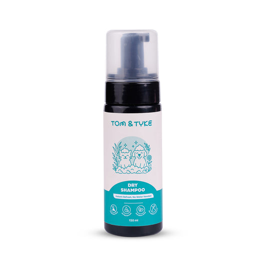 Dry Shampoo - 150 ML